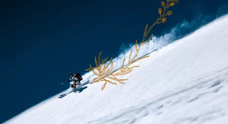 Cober, una collezione di t-shirt ispirate alle specie vegetali colpite dallo scioglimento dei ghiacciai