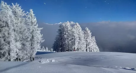 Domobianca, oggi apre la seggiovia Casalavera