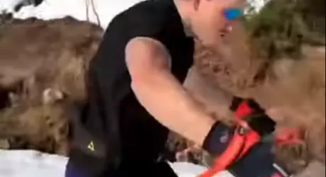 E se Haaland fosse uno sciatore? Video 