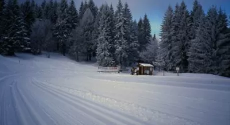 SCI DI FONDO - Piste garantite alla Conca dell'Alben
