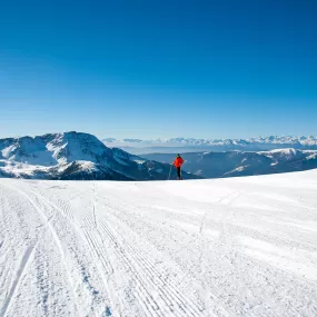 Immagine Skiwriter